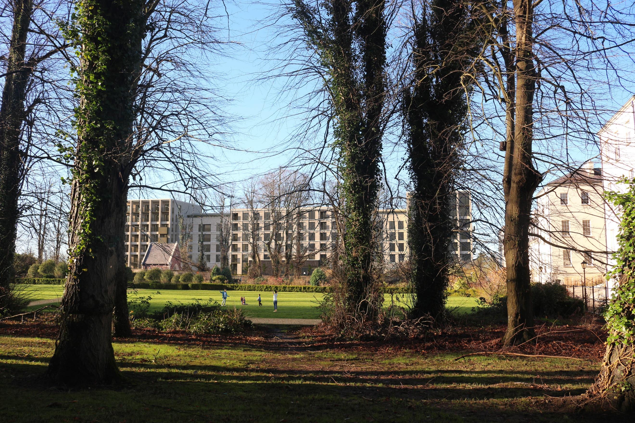 building with trees 