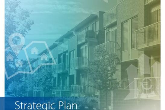 Strategic Plan 2019 - 2021