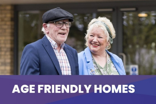 Launch of AgeFriendlyHomes.ie