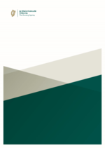 The Housing Homeless: The role of housing policy in supporting victims of  Intimate Partner Violence (IPV)