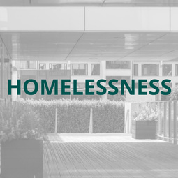 Homelessness link